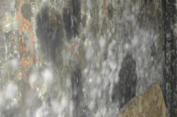 mold-growth-in-home